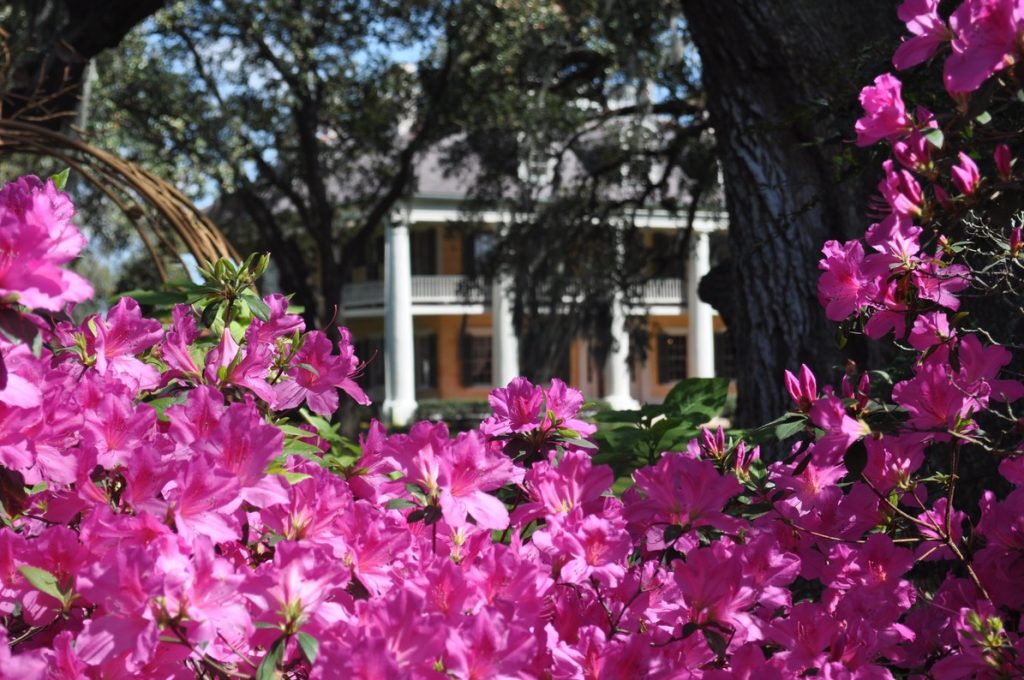 Spring in New Orleans Plantation Country