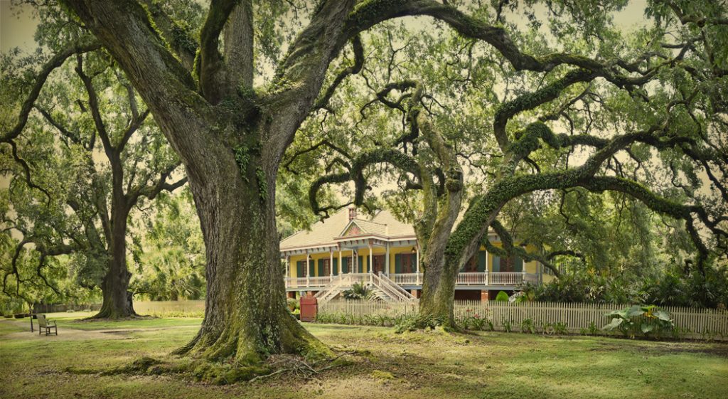 Spring in New Orleans Plantation Country