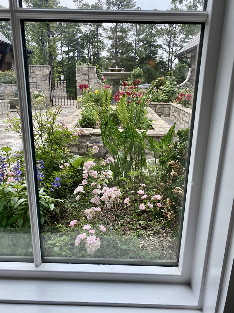 garden through window